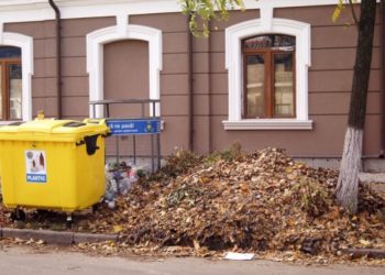 Chișinăul „inundat” de frunze. Locuitorii capitalei cer autorităților să facă ordine | VIDEO