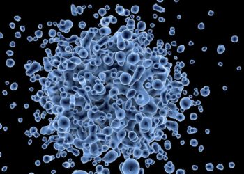 В Японии зафиксировали инфекционное заболевание, вызванное новым вирусом