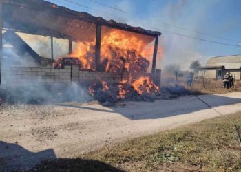 Un depozit cu hrană pentru animale a luat foc, la Fălești: Pompierii au salvat doi porci și un câine