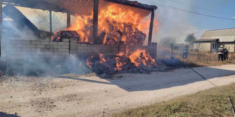 Un depozit cu hrană pentru animale a luat foc, la Fălești: Pompierii au salvat doi porci și un câine