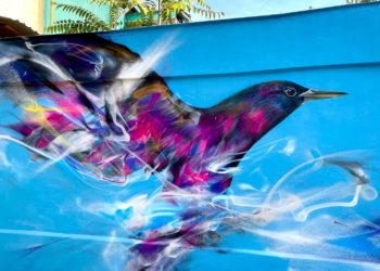 „Este foarte plăcut că ne-a făcut acest cadou”. Reacția chișinăuienilor la picturile realizate de un Street artist venit din Brazilia, pe clădirile părăsite din capitală | VIDEO