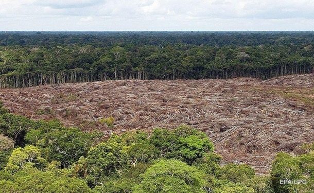 Джунгли Амазонии накрыла небывалая засуха