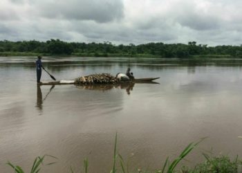 На реке Конго при крушении судна погибли более 50 человек