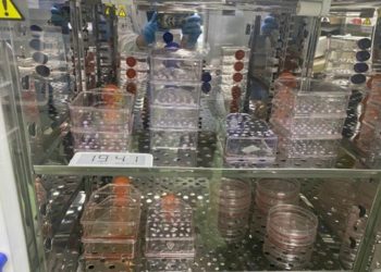 Отец смертельно больного мальчика сам создал лекарство