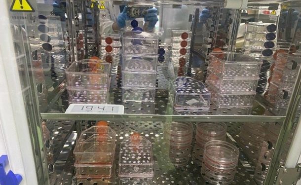 Отец смертельно больного мальчика сам создал лекарство