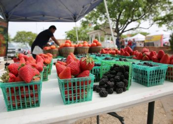 Amenzi în sumă de peste 3,5 milioane lei pentru comerț stradal
