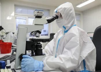 WP: коронавирус мог передаться человеку от диких животных на фермах в Китае