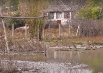 În Moldova secolului 21, în satul Cărpineni inundațiile îi izolează pe oameni, cu zilele, în case, iar bătrânii sunt condamnați la moarte. Problemă rămâne nesoluționată de ani de zile  | VIDEO