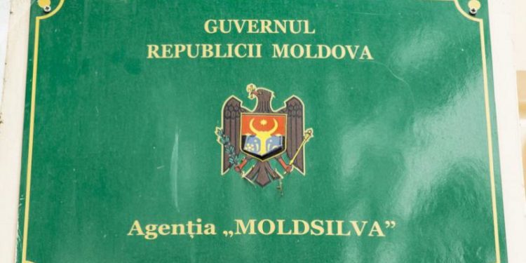Moldsilva are un nou șef: Cine a câștigat concursul organizat de Ministerul Mediului