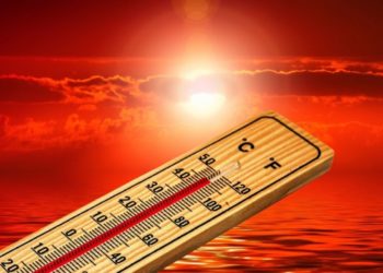 Климатологи предупредили о наступлении на Земле невыносимой жары