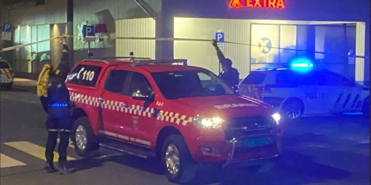 Cinci oameni au fost uciși și alți doi au fost răniți de un danez de 37 de ani, înarmat cu un arc, în Norvegia | VIDEO