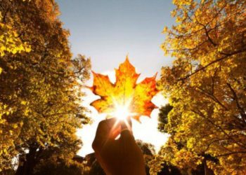 Prognoza meteo: Cer variabil pe întreg teritoriul țării și temperaturi de până la 19°C