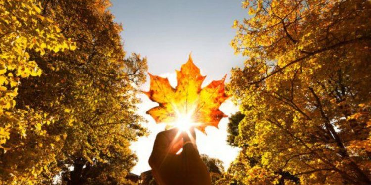 Prognoza meteo: Cer variabil pe întreg teritoriul țării și temperaturi de până la 19°C