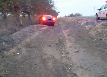 Un șofer a ajuns cu Lexus-ul într-un copac, la Căușeni: Pasagerul, spitalizat