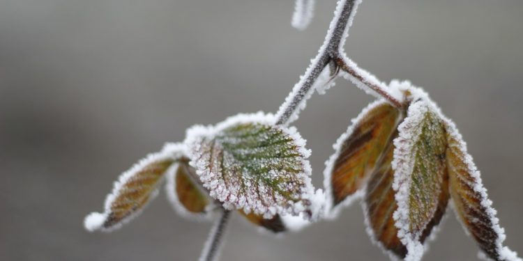 Vremea se răcește simțitor. Codul Galben de îngheț va fi valabil încă patru zile | VIDEO