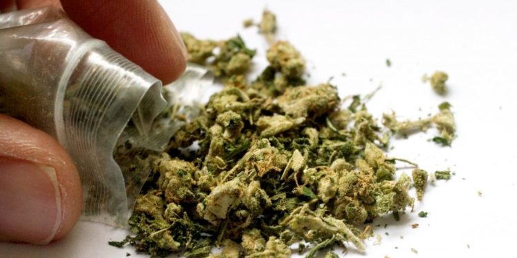 Prima țară din Europa care legalizează cultivarea și consumul de canabis