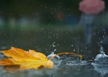 Ploile ne țin în casă astăzi: Câte grade prognozează meteorologii