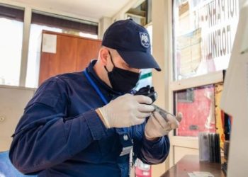 Ghinion de 800 de euro. Un bărbat riscă amendă penală după ce și-a perfectat ilegal permisul de conducere