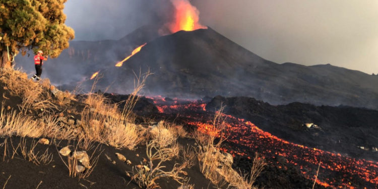Câinii rămaşi blocaţi între râurile de lavă de pe insula La Palma ar putea fi salvaţi cu drona