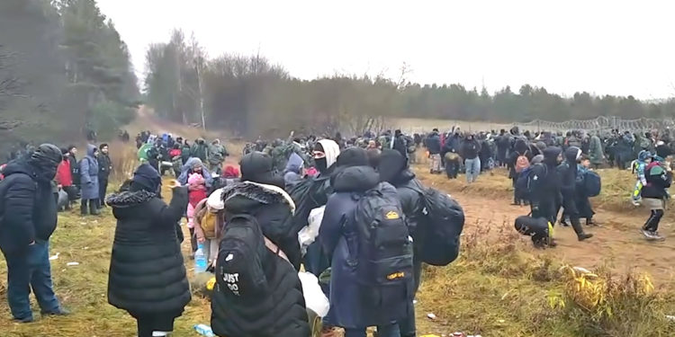 Группа мигрантов прорвалась в Польшу из Белоруссии