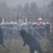Польские силовики применили слезоточивый газ против мигрантов