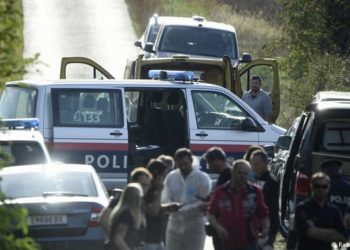 В Австрии задержали задержаны водители из Молдовы, Украины и Узбекистана, которые незаконно ввозили мигрантов