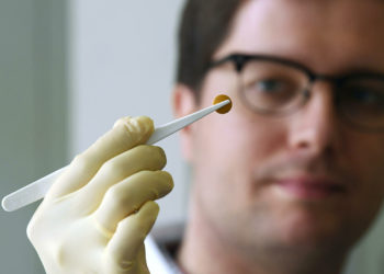 Найден эффективный растительный препарат против COVID-19