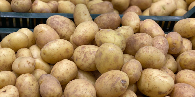 Ne așteaptă noi scumpiri: Prețurile la cartofi ar putea crește dublu până la finele anului