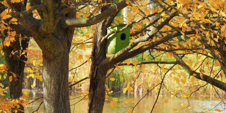 Ultimele zile de toamnă vor fi călduroase: Câte grade prognozează meteorologii