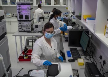 Новый штамм коронавируса из ЮАР получил название «Омикрон»