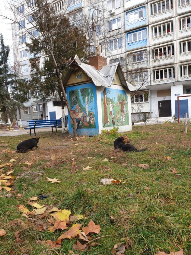 Marina Tauber: Voi moderniza curțile de bloc din Bălți și voi construi terenuri de joacă moderne