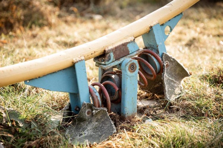 Марину Таубер ждут в Бельцах для наведения порядка! Тысячи бельчан приняли участие в масштабной мобилизационной акции «Марина придёт, порядок наведёт!» | FOTO/VIDEO