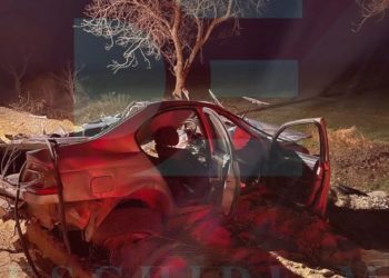 O mașină a fost făcută boț într-un copac, la Cahul. Șoferul a murit pe loc, iar un pasager a ajuns la spital | VIDEO