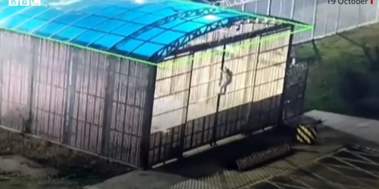 Momentul în care un bărbat evadează în 40 de secunde dintr-o închisoare din China. Urma să fie deportat în Coreea de Nord | VIDEO