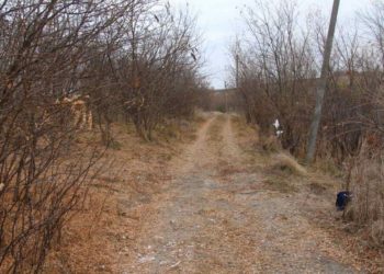 Cadavrele a doi tineri, descoperite în satul Hiliuți. Una dintre victime ar fi pierdut o sumă de bani în cărți