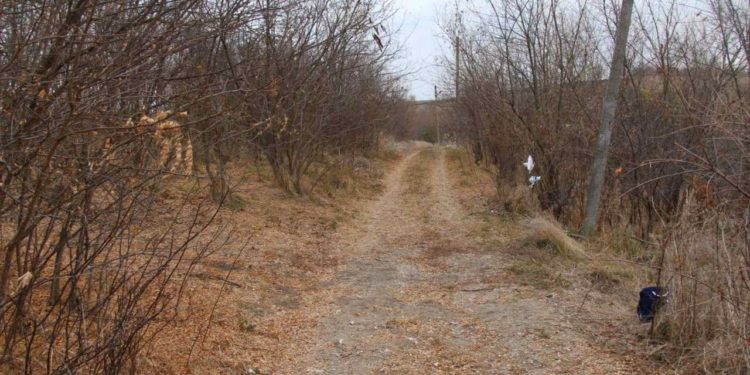 Cadavrele a doi tineri, descoperite în satul Hiliuți. Una dintre victime ar fi pierdut o sumă de bani în cărți