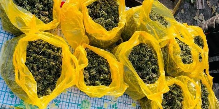 Reținuți în timp ce vindeau droguri. Doi indivizi aveau acasă marijuana de 4,5 milioane de lei | VIDEO