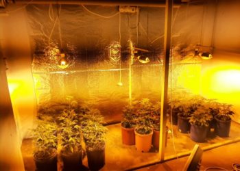 Și-a amenajat propriul laborator de droguri în locuință. Droguri în valoare de sute de mii de lei, ridicate din casa unui bălțean