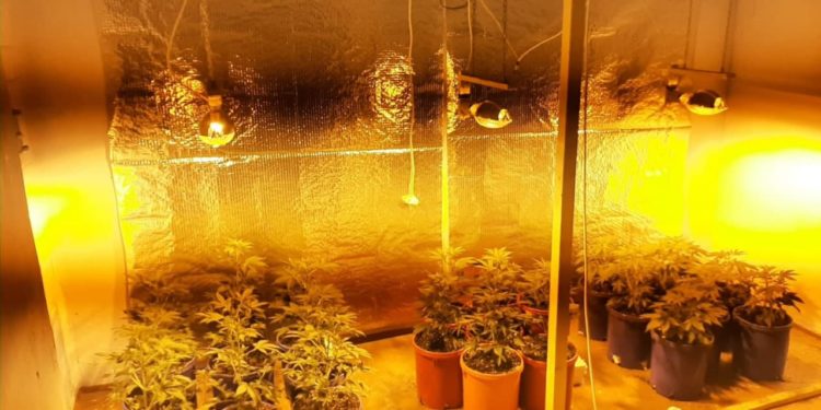 Și-a amenajat propriul laborator de droguri în locuință. Droguri în valoare de sute de mii de lei, ridicate din casa unui bălțean