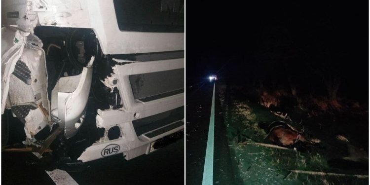 Un TIR a lovit din plin o căruță noaptea trecută, la Comrat. Căruțașul și calul au murit pe loc | FOTO