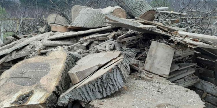 Clădiri construite și revândute ilegal în pădurile Moldovei. Ce a mai depistat Curtea de Conturi în verificările de la „Moldsilva”