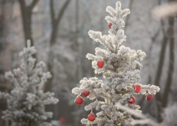 В Молдове ожидаются морозы и ураганный ветер
