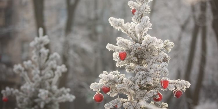 В Молдове ожидаются морозы и ураганный ветер