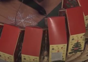 «Праздник должен быть у всех». Муниципальные советники от Партии «ШОР» привезли подарки в дом престарелых в Калараше | VIDEO