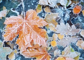 Синоптики предупредили о резком похолодании