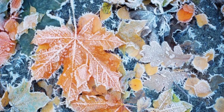 Синоптики предупредили о резком похолодании