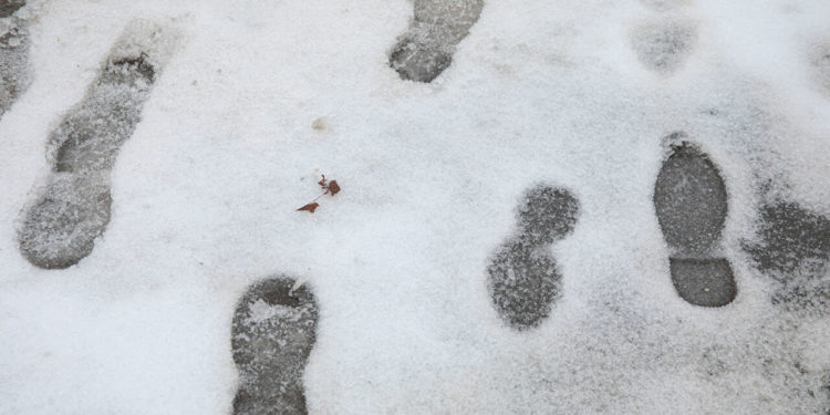 La nordul țării s-a așternut un strat de zăpadă | VIDEO