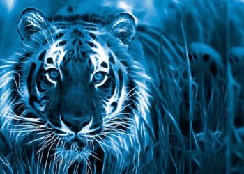 Год Синего Водяного Тигра по китайскому календарю: что принесет нам 2022-й