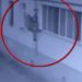 Hoți prinși în timp ce voiau să spargă un apartament: Ar fi furat din cel puțin 25 de locuințe | VIDEO