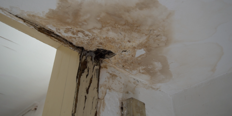 Bulgari şi români, trataţi ca sclavi în Germania, într-un abator de la Tönnies – documentar